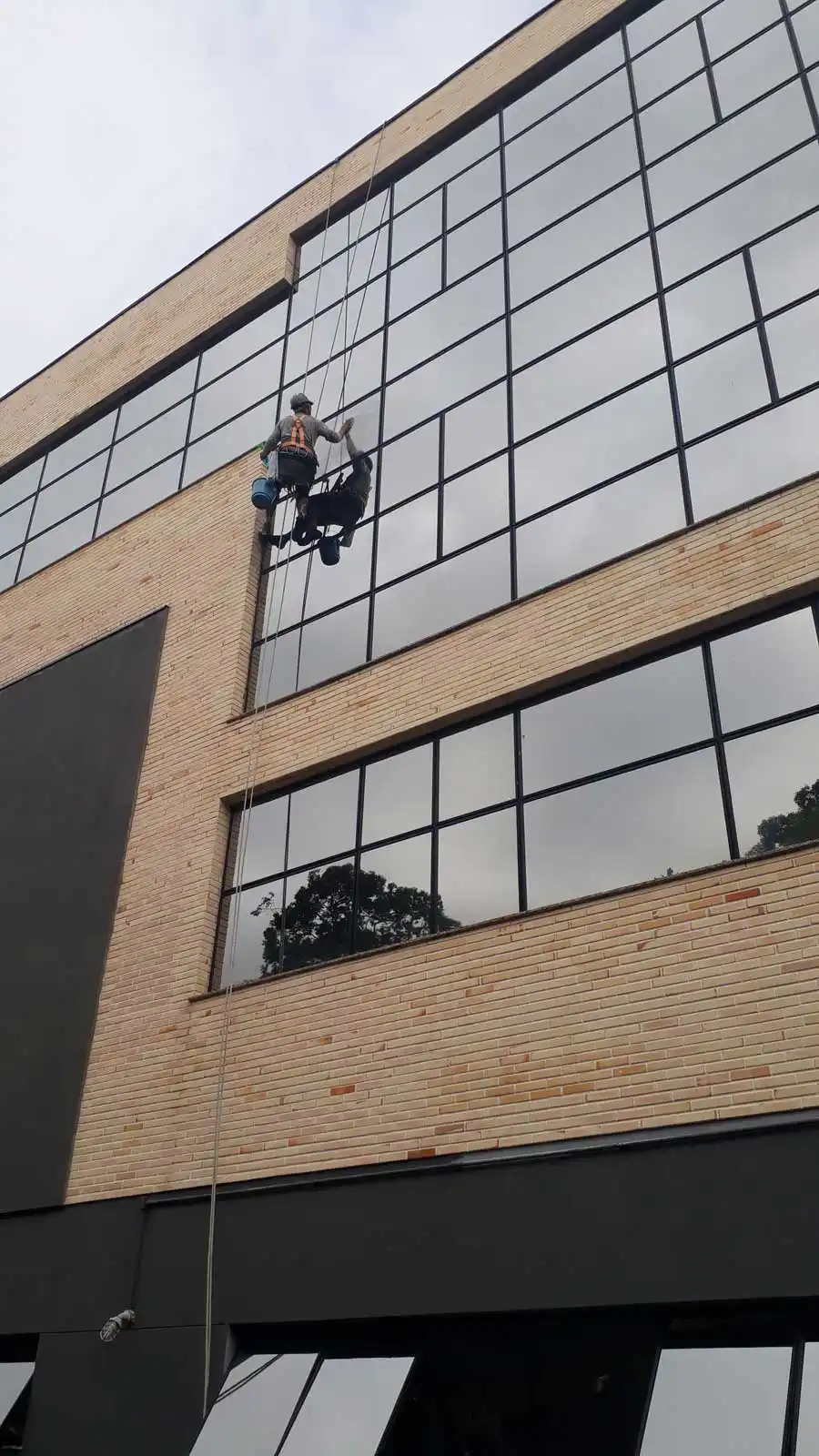 Lustração e limpeza ONS Florianópolis